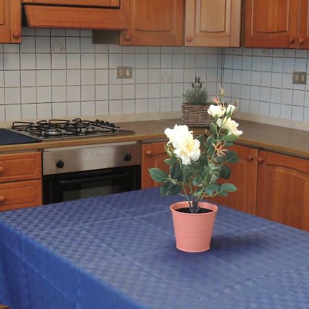 피사 A Casa Di Lucia B&B 외부 사진